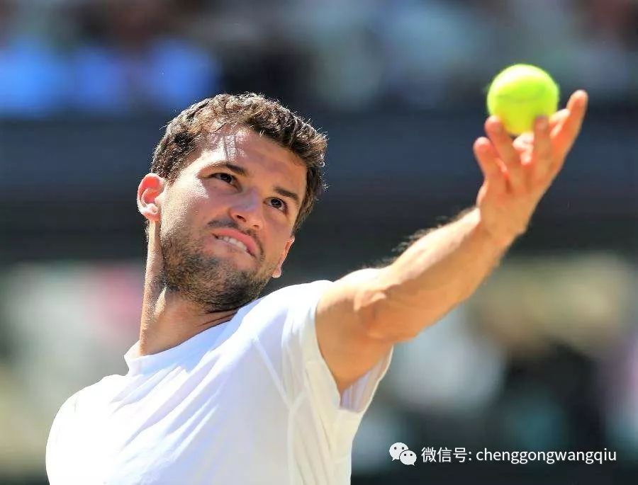 共同推动了 共同推动了